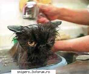 Fun - si asta`i blackcat...uitati`va si voi ce grija am - Fun Stuff!!!